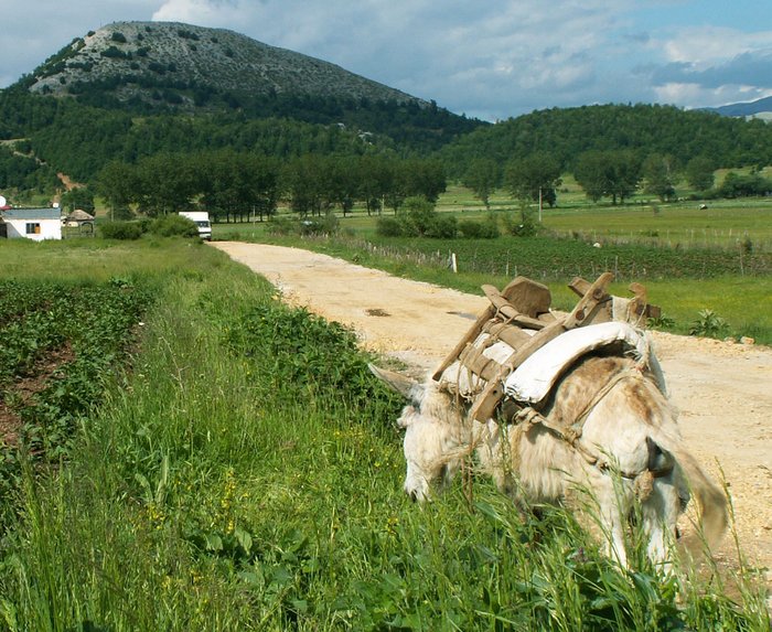 pár obrázků z cesty