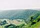 d99_212.jpg